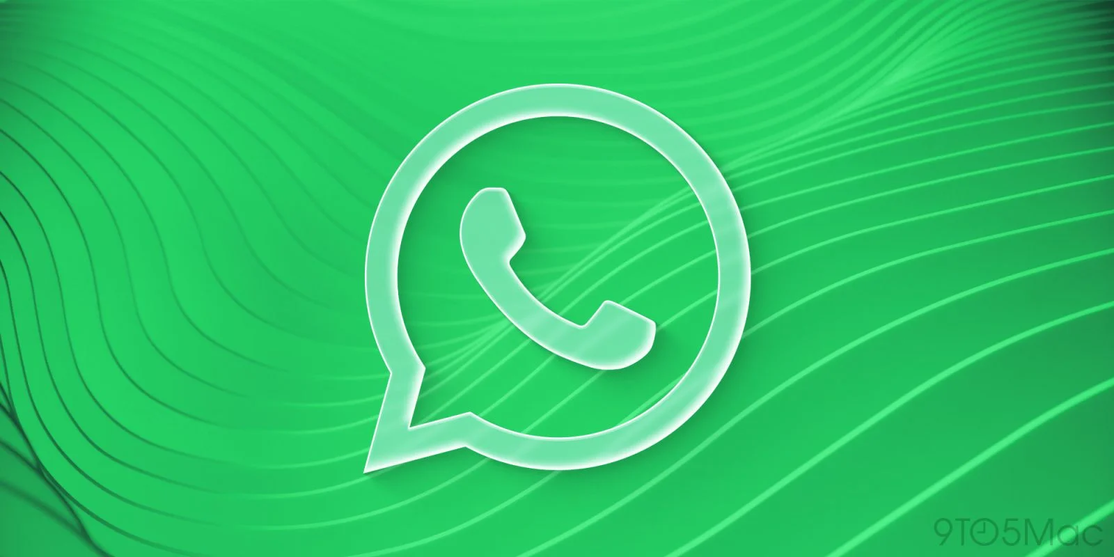 WhatsApp Web Introduces Group Voice and Video Calling Features