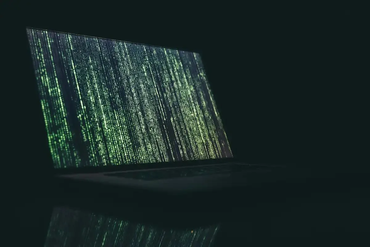 Exploiting Trust: Fake Verification Attacks on India's STPI Site